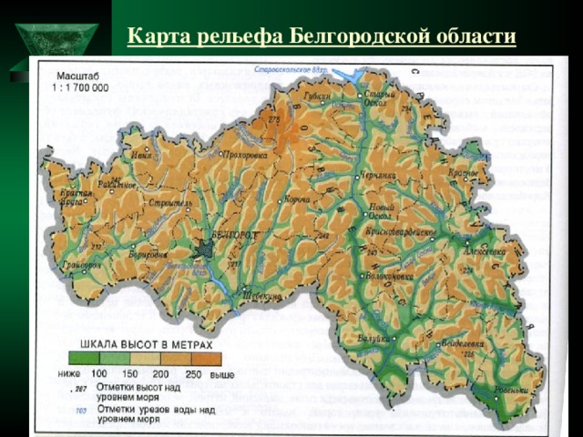 Карта белгородской области панорама