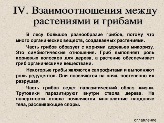   В лесу большое разнообразие грибов, потому что много органических веществ, создаваемых растениями.   Часть грибов образует с корнями деревьев микоризу. Это симбиотические отношения. Гриб выполняет роль корневых волосков для дерева, а растение обеспечивает гриб органическими веществами.   Некоторые грибы являются сапрофитами и выполняют роль редуцентов. Они поселяются на пнях, постепенно их разрушая.   Часть грибов ведет паразитический образ жизни. Трутовики паразитируют внутри ствола дерева. На поверхности ствола появляются многолетние плодовые тела, рассеивающие споры.  