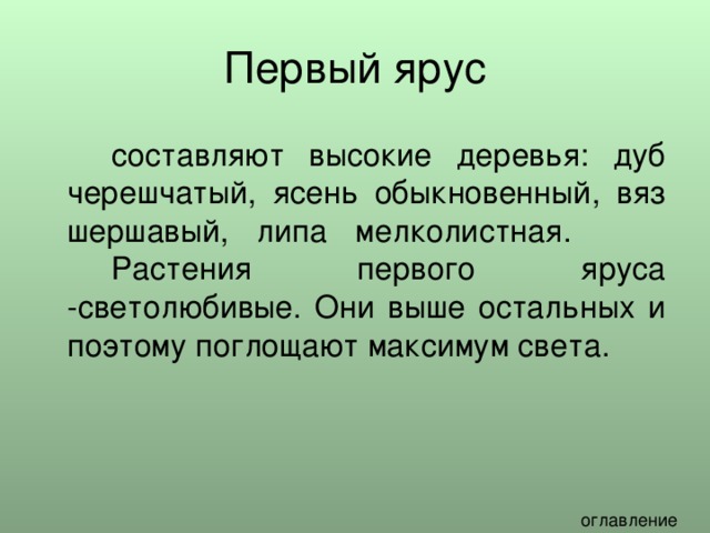   составляют высокие деревья: дуб черешчатый, ясень обыкновенный, вяз шершавый, липа мелколистная.   Растения первого яруса -светолюбивые. Они выше остальных и поэтому поглощают максимум света. 