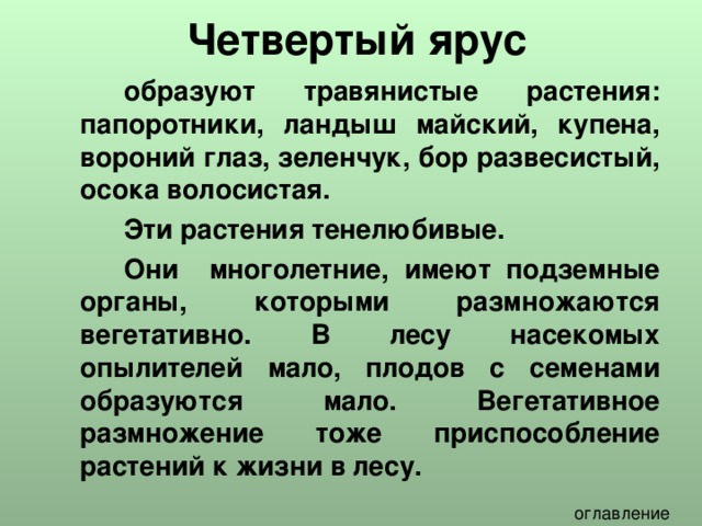 Четвертый ярус   образуют травянистые растения: папоротники, ландыш майский, купена, вороний глаз, зеленчук, бор развесистый, осока волосистая.    Эти растения тенелюбивые.      Они многолетние, имеют подземные органы, которыми размножаются вегетативно. В лесу насекомых опылителей мало, плодов с семенами образуются мало. Вегетативное размножение тоже приспособление растений к жизни в лесу. 