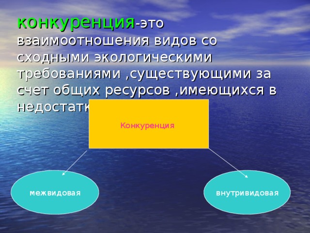 Конкурентные взаимодействия презентация 11 класс по биологии