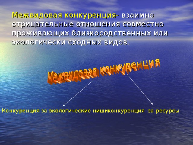 Конкурентные взаимодействия презентация 11 класс по биологии