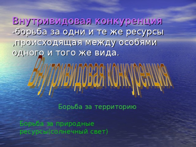 Конкурентные взаимодействия презентация 11 класс по биологии