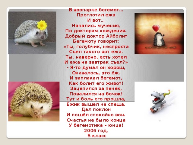 Кто может съесть ежика. Еж прикол. Таня завела ежика в день ежик. День ежа 2 февраля. Таня завела ежика в день ежик.