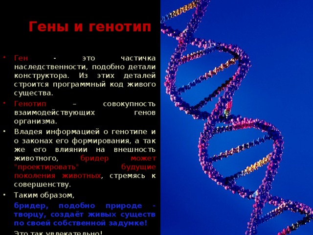 Генотип и здоровье человека 9 класс презентация