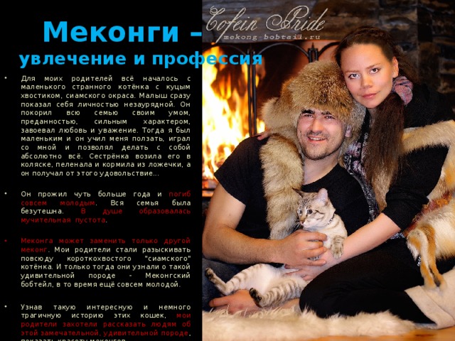  Меконги –  увлечение и профессия Для моих родителей всё началось с маленького странного котёнка с куцым хвостиком, сиамского окраса. Малыш  сразу показал себя личностью незаурядной. Он покорил всю семью своим умом, преданностью, сильным характером, завоевал любовь и уважение. Тогда я был маленьким и он учил меня ползать, играл со мной и позволял делать с собой абсолютно всё. Сестрёнка возила его в коляске, пеленала и кормила из ложечки, а он получал от этого удовольствие...  Он прожил чуть больше года и погиб совсем молодым . Вся семья была безутешна. В душе образовалась мучительная пустота .  Меконга может заменить только другой меконг . Мои родители стали разыскивать повсюду короткохвостого 