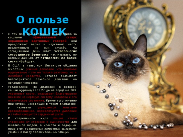    О пользе   КОШЕК С тех пор, как Екатерина II закрепила за кошками официальный статус охранников картинных галерей , они продолжают верно и неустанно нести возложенную на них службу. На сегодняшний день штат четвероногих сотрудников Эрмитажа насчитывает, по разным данным, от пятидесяти до более сотни «бойцов» . В США, в известном Институте общения животных, ученые доказали, что кошачье мурлыканье – это не только разговор, но и лечебное средство , которое оказывает благоприятное лечебное действие на организм человека. Установлено, что диапазон, в котором кошки мурлычут (от 27 до 44 герц) на 20% укрепляет кости, оказывает благотворное влияние на нервную систему человека и его психическое состояние . Кроме того, именно при звуках, исходящих в таком диапазоне, у человека улучшается мозговое кровообращение, нормализуется давление и стабилизируется сердечный ритм . В современном мире кошки стали спасением от стрессов и одиночества для миллионов людей, а красота и задорный нрав этих грациозных животных вызывают улыбки и массу положительных эмоций. 