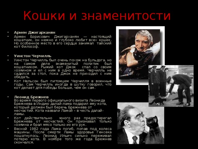 Кошки и знаменитости Армен Джигарханян Армен Борисович Джигарханян — настоящий кошатник, он нежно и глубоко любит всех кошек. Но особенное место в его сердце занимал тайский кот Философ.  Уинстон Черчилль Уинстон Черчилль был очень похож на бульдога, но на самом деле знаменитый политик был кошатником. Рыжий кот Джок спал со своим хозяином и ел с ним в одно время. Черчилль не садился за стол, пока Джок не приходил с ним обедать. Кот Нельсон был питомцем Черчилля в военные годы. Сам Черчилль иногда в шутку говорил, что кот делает для победы больше, чем он сам.  Леонид Брежнев  Во время первого официального визита Леонида Брежнева в Индию далай-лама подарил ему кота, который должен был беречь Брежнева от несчастий. Кота назвали Ламой – в честь далай-ламы. Кот действительно много раз предостерегал Брежнева от несчастий. Он признавал только хозяина и брал мясо только из его рук. Весной 1982 года Лама погиб, попав под колеса машины. После смерти Ламы здоровье Генсека пошатнулось. Леонид Ильич сильно переживал потерю кота. В ноябре того же года Брежнев скончался.   