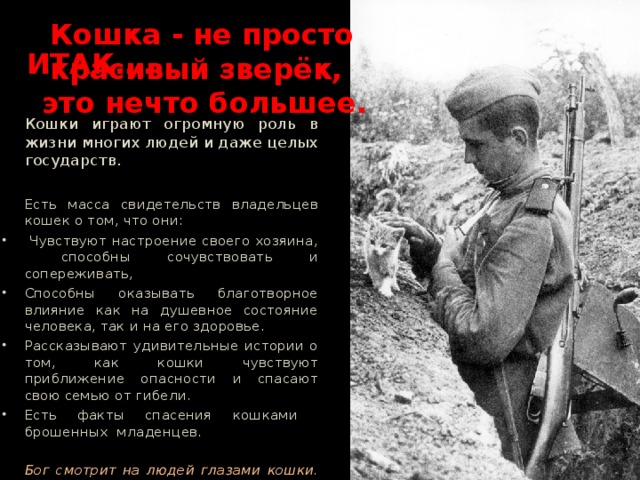 ИТАК…..  Кошка - не просто   красивый зверёк,   это нечто большее.   Кошки играют огромную роль в жизни многих людей и даже целых государств.  Есть масса свидетельств владельцев кошек о том, что они:  Чувствуют настроение своего хозяина, способны сочувствовать и сопереживать, Способны оказывать благотворное влияние как на душевное состояние человека, так и на его здоровье. Рассказывают удивительные истории о том, как кошки чувствуют приближение опасности и спасают свою семью от гибели. Есть факты спасения кошками брошенных младенцев.  Бог смотрит на людей глазами кошки.  Лобсанг Рампа 