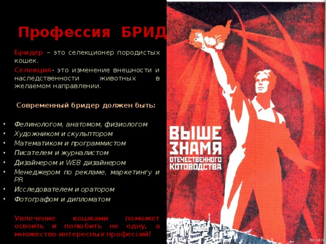  Профессия БРИДЕР  Бридер – это селекционер породистых кошек.  Селекция - это изменение внешности и наследственности животных в желаемом направлении.   Современный бридер должен быть:  Фелинологом, анатомом, физиологом Художником и скульптором Математиком и программистом Писателем и журналистом Дизайнером и WEB дизайнером Менеджером по рекламе, маркетингу и PR Исследователем и оратором Фотографом и дипломатом   Увлечение кошками поможет освоить и полюбить не одну, а множество интересных профессий! 