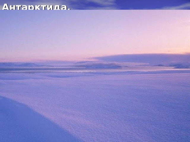 Антарктида. 