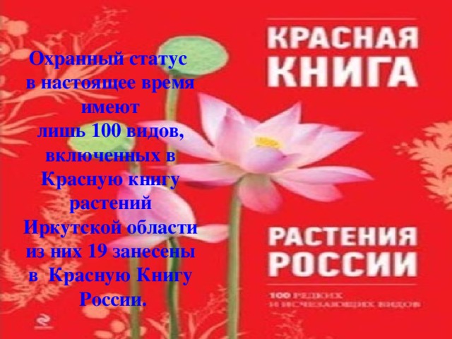 Охранный статус   в настоящее время имеют лишь 100 видов,  включенных в Красную книгу растений Иркутской области из них 19 занесены в  Красную Книгу России. 