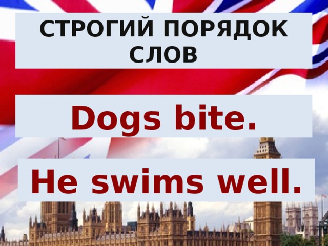 Строгий Порядок слов Dogs bite. He swims well. 