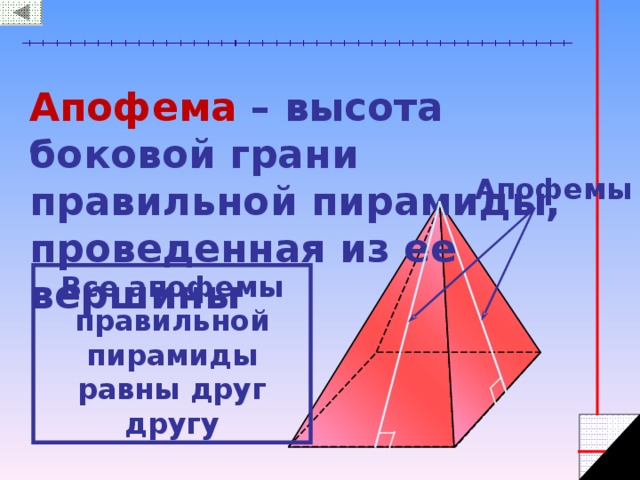 Апофема. Апофема цилиндра. Высота боковой грани пирамиды. Высота апофемы = высота?.