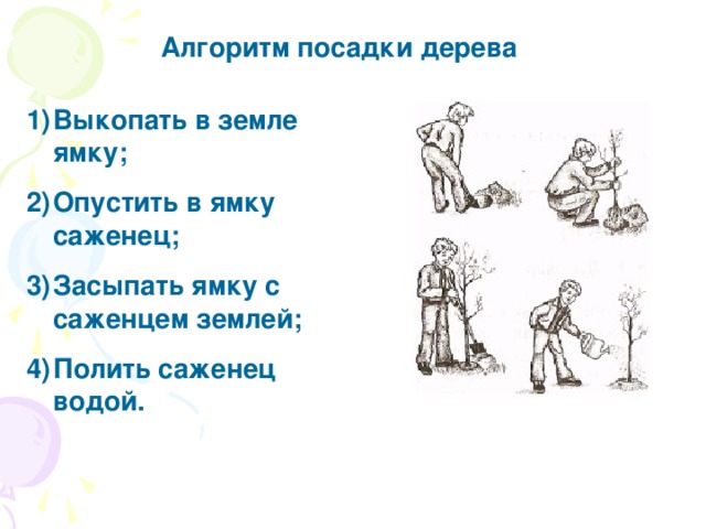 Алгоритм посадки дерева Выкопать в земле ямку; Опустить в ямку саженец; Засыпать ямку с саженцем землей; Полить саженец водой. 