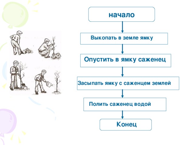 начало Выкопать в земле ямку Опустить в ямку саженец Засыпать ямку с саженцем землей Полить саженец водой Конец 