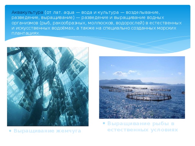 Аквакультура (от лат. aqua — вода и культура — возделывание, разведение, выращивание) — разведение и выращивание водных организмов (рыб, ракообразных, моллюсков, водорослей) в естественных и искусственных водоёмах, а также на специально созданных морских плантациях. Выращивание рыбы в естественных условиях Выращивание жемчуга 