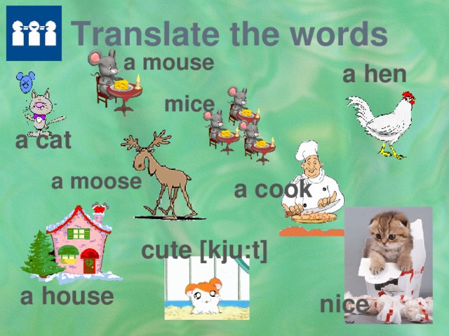 Translate the words a mouse a hen mice a cat a moose a cook cute [kju:t] a house nice 