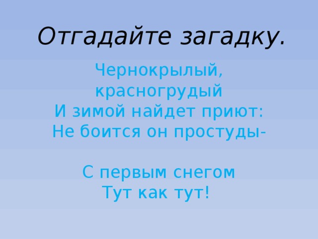 Отгадайте загадку. Чернокрылый, красногрудый  И зимой найдет приют:  Не боится он простуды-  С первым снегом  Тут как тут! 