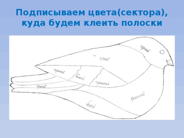 Подписываем цвета(сектора), куда будем клеить полоски 