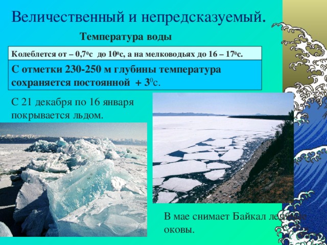 Величественный и непредсказуемый . Температура воды Колеблется от – 0,7 0 с до 10 0 с, а на мелководьях до 16 – 17 0 с.  С отметки 230-250 м глубины температура сохраняется постоянной + 3 0 с. С 21 декабря по 16 января покрывается льдом. В мае снимает Байкал ледяные оковы. 