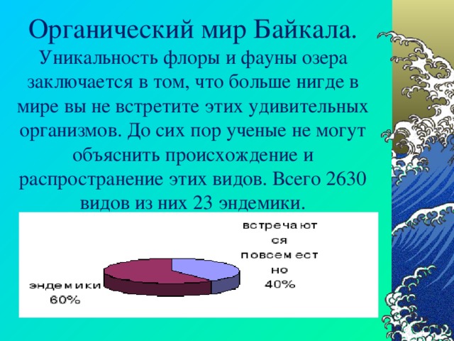 Органический мир Байкала.  Уникальность флоры и фауны озера заключается в том, что больше нигде в мире вы не встретите этих удивительных организмов. До сих пор ученые не могут объяснить происхождение и распространение этих видов. Всего 2630 видов из них 23 эндемики. 
