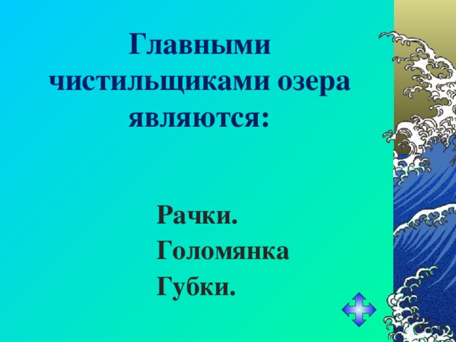 Главными чистильщиками озера являются: Рачки. Голомянка Губки. 