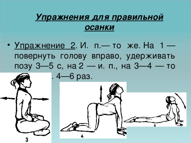 Упражнения для правильной осанки