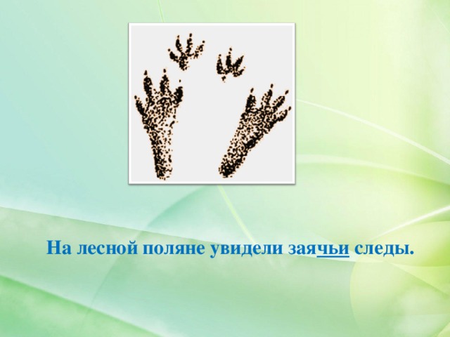На лесной поляне увидели зая чьи следы. 