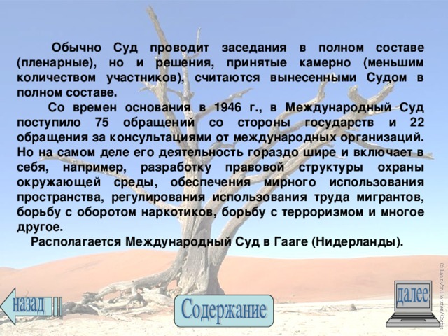 Обычно Суд проводит заседания в полном составе (пленарные), но и решения, принятые камерно (меньшим количеством участников), считаются вынесенными Судом в полном составе.  Со времен основания в 1946 г., в Международный Суд поступило 75 обращений со стороны государств и 22 обращения за консультациями от международных организаций. Но на самом деле его деятельность гораздо шире и включает в себя, например, разработку правовой структуры охраны окружающей среды, обеспечения мирного использования пространства, регулирования использования труда мигрантов, борьбу с оборотом наркотиков, борьбу с терроризмом и многое другое.  Располагается Международный Суд в Гааге (Нидерланды). 