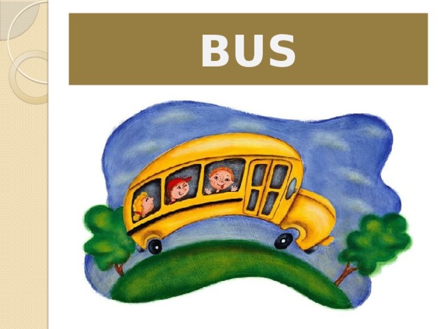 BUS 