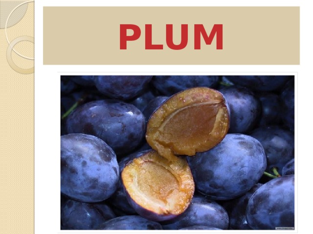 PLUM 