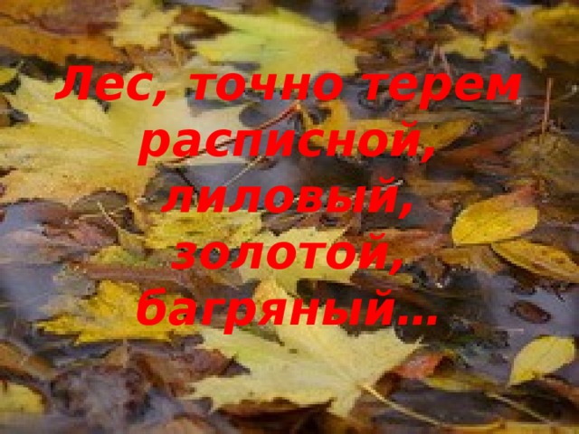  Лес, точно терем расписной,  лиловый, золотой, багряный… 