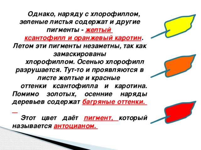 Хроматография разделение пигментов листа. Пигменты листа хлорофилл каротин. Пигменты листа хлорофилл каротин. Каких пигментов в зеленом листе. Растения хлоропласты хлорофилл фотосинтез.