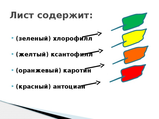 Пигменты растений презентация