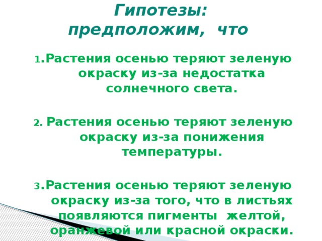 Гипотезы:  предположим, что 1 .Растения осенью теряют зеленую окраску из-за недостатка солнечного света.  2. Растения осенью теряют зеленую окраску из-за понижения температуры.  3 .Растения осенью теряют зеленую окраску из-за того, что в листьях появляются пигменты желтой, оранжевой или красной окраски.  