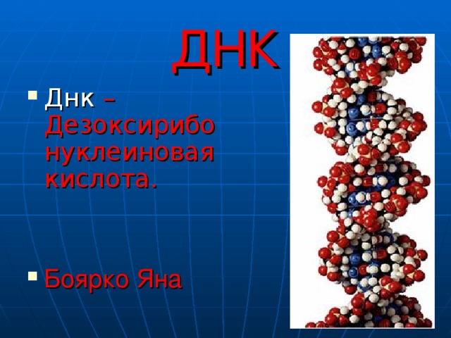 ДНК Днк – Дезоксирибонуклеиновая кислота .   Боярко Яна 