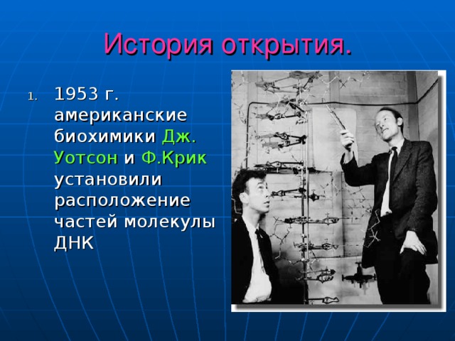 История открытия. 1953 г. американские биохимики Дж.  Уотсон и Ф.Крик установили расположение частей молекулы ДНК 
