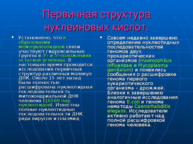 Первичная структура нуклеиновых кислот. Установлено, что в образовании межнуклеотидной связи участвуют гидроксильные группы в 3'- и 5'-положениях остатков углевода. В настоящее время проводятся исследования первичных структур различных молекул ДНК. Около 15 лет назад была полностью расшифрована нуклеотидная последовательность митохондриальной ДНК человека ( 16569 пар нуклеотидов ). Известны полные нуклеотидные последовательности ДНК ряда вирусов и плазмид Совсем недавно завершено определение нуклеотидных последовательностей геномов двух прокариотических организмов ( Haemophilus influenzae и Mycoplasma genitalum ) и появились сообщения о расшифровке генома первого эукариотического организма – дрожжей. Близки к завершению аналогичные исследования генома E.coli и генома нематоды Caenorhabditis elegans . Исследователи активно работают над полной расшифровкой генома человека.  