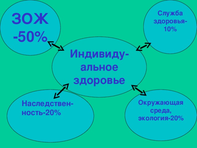 ЗОЖ-50% Служба здоровья-10% Индивиду- альное здоровье Наследствен-ность-20% Окружающая среда, экология-20% 