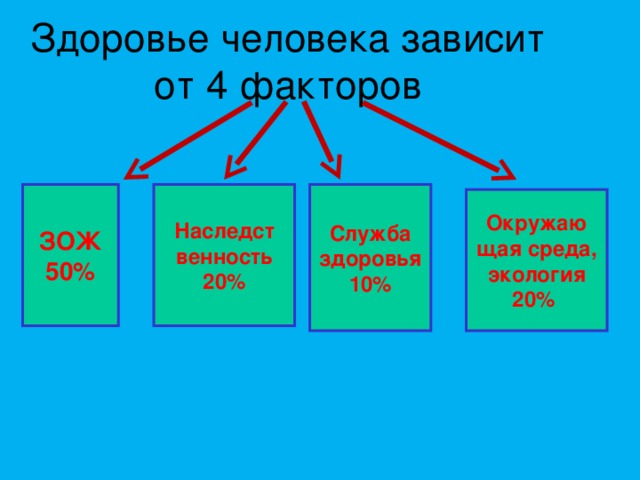 Здоровье человека зависит от 4 факторов Наследст венность 20% Служба здоровья 10% ЗОЖ 50% Окружаю щая среда, экология 20% 