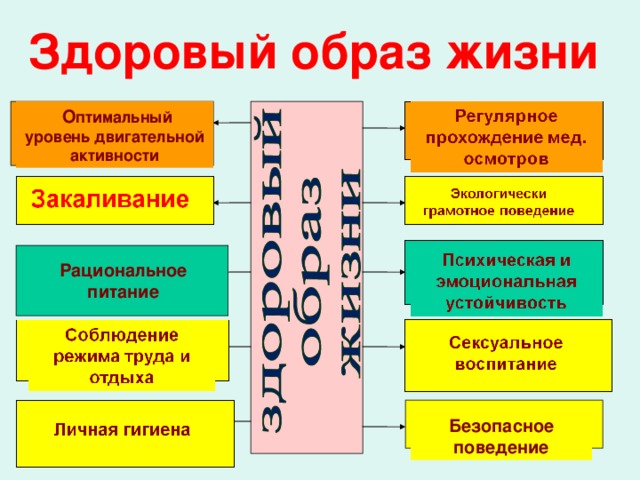 Здоровый образ жизни  О птимальный уровень двигательной активности Рациональное питание Безопасное поведение 