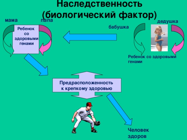 Наследственность (биологический фактор) мама папа дедушка бабушка Ребенок со здоровыми генами Ребенок со здоровыми генами Предрасположенность к крепкому здоровью Человек здоров 