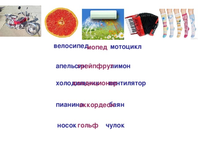велосипед мотоцикл мопед грейпфрут лимон апельсин холодильник вентилятор кондиционер пианино баян аккордеон носок чулок гольф 