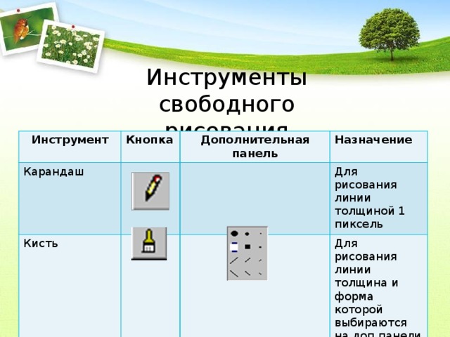 Инструменты свободного рисования Инструмент Кнопка Карандаш Дополнительная Кисть панель Назначение Для рисования линии толщиной 1 пиксель Для рисования линии толщина и форма которой выбираются на доп.панели 