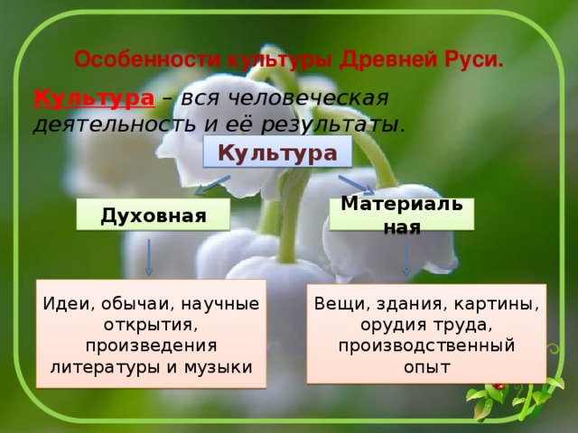 Произведения духовной культуры