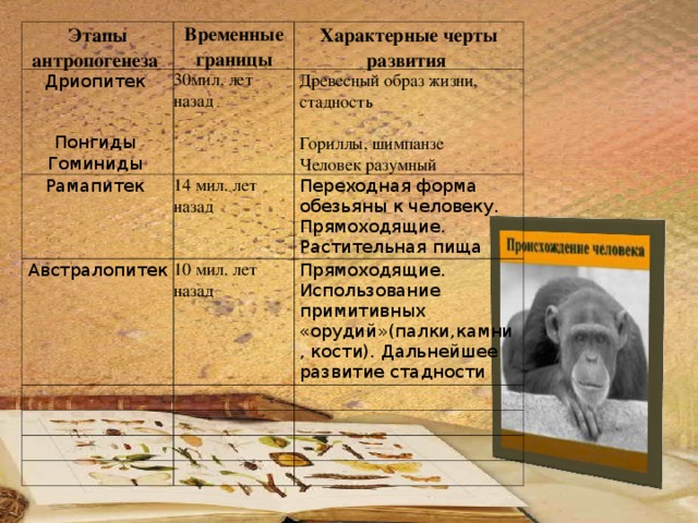 Дриопитек время существования таблица