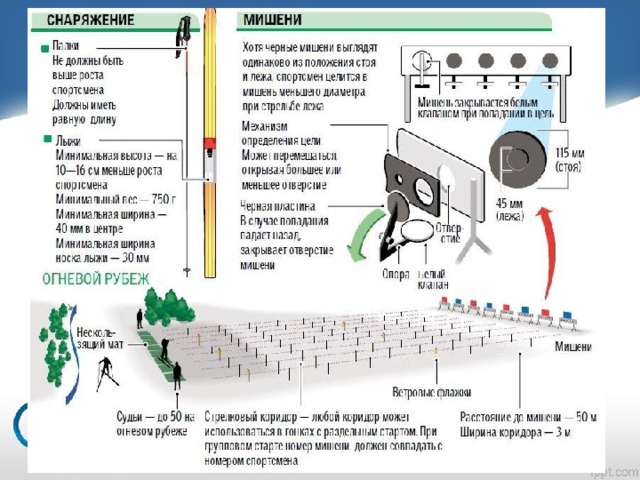 Биатлон расстояние до мишени. Биатлон дистанция стрельбы и размер мишени. Диаметр мишени в биатлоне. Диаметр биатлонной мишени. Высота мишеней в биатлоне.