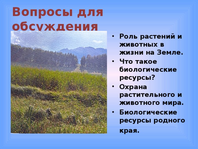 Рассмотрите схему отражающую развитие растительного мира земли овес роза улотрикс