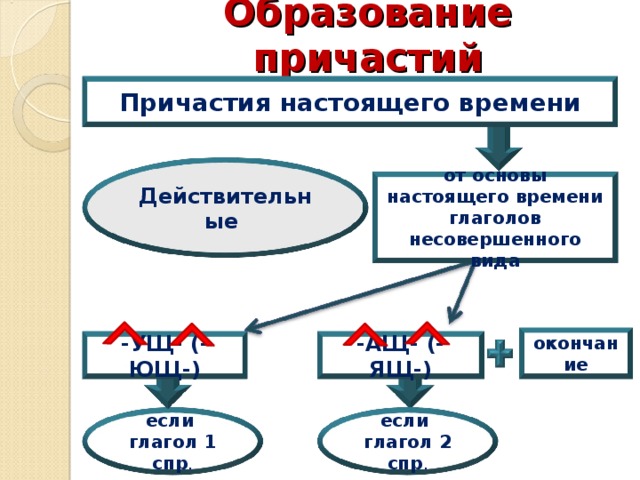 Роль причастий в русском языке проект